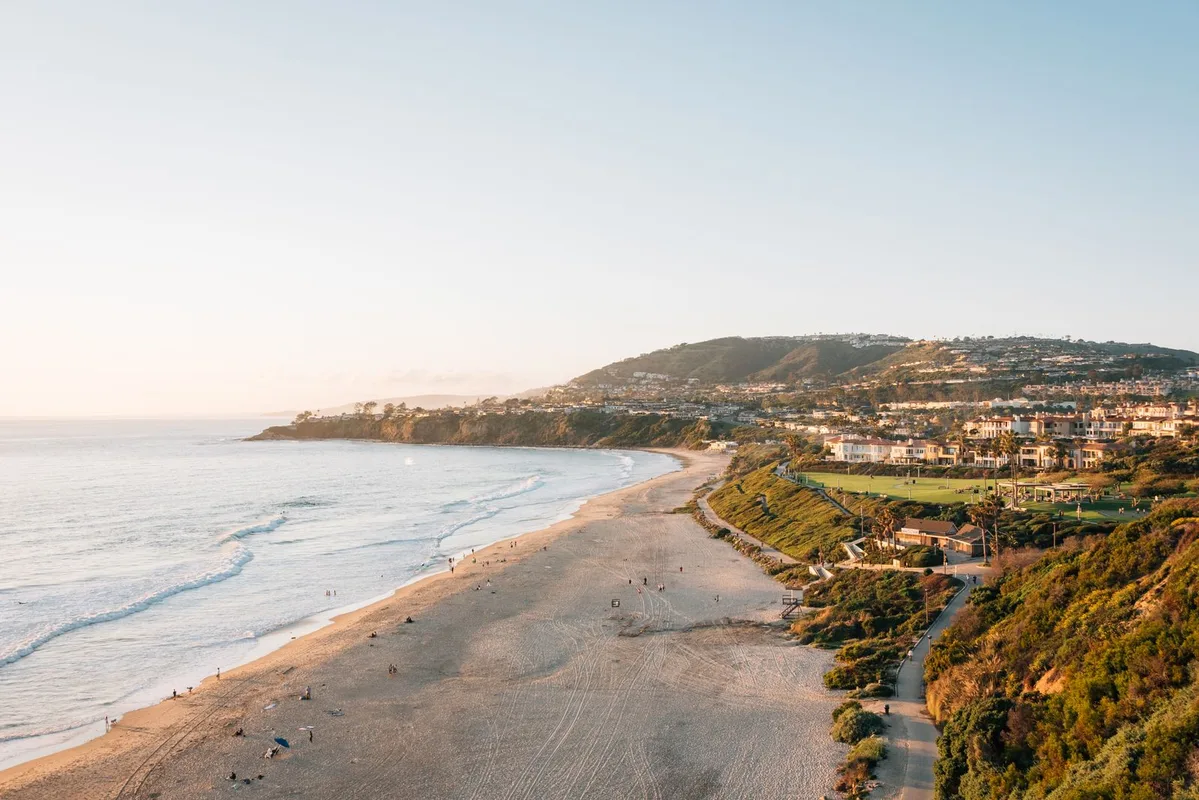 Khám Phá Những Điểm Quan Sát Cá Voi Tuyệt Vời Nhất Ở California