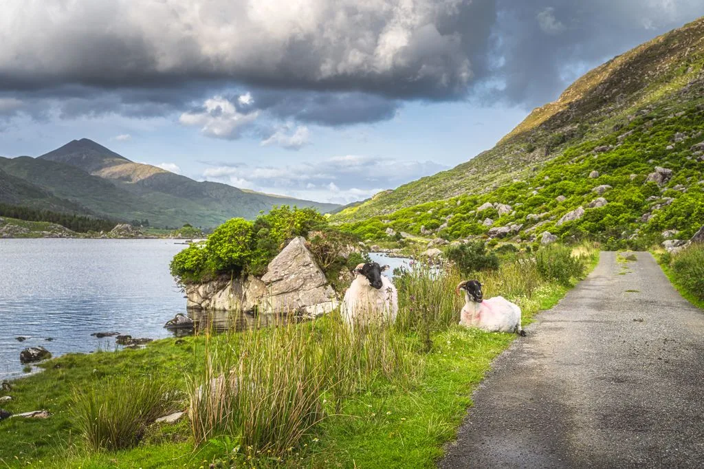Khám Phá Những Nơi Đẹp Nhất Ở Ireland: Hành Trình Đầy Cảm Hứng