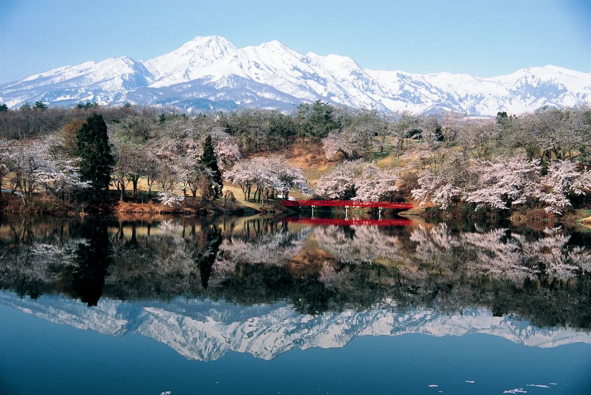 Khám Phá Niigata: Chốn Kỳ Diệu Của Tuyết, Hải Sản Và Rượu Sake Nhật Bản