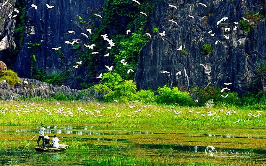 Khám Phá Ninh Bình: Điểm Đến Hấp Dẫn Không Thể Bỏ Qua