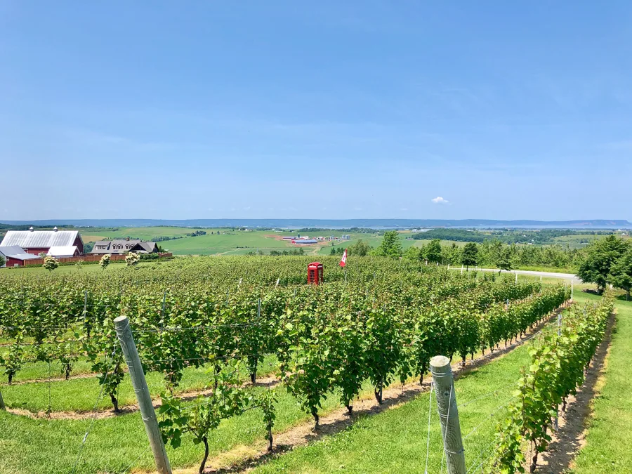 Khám Phá Nova Scotia: Top 25 Hoạt Động Không Thể Bỏ Lỡ
