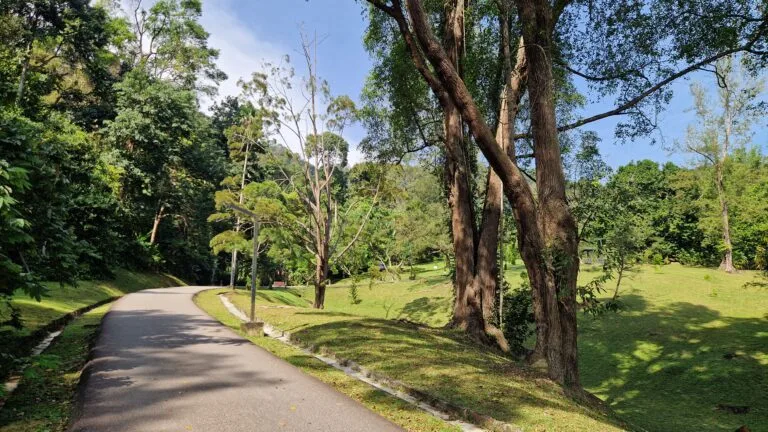 Khám Phá Penang: Hơn Cả George Town, Đừng Bỏ Qua
