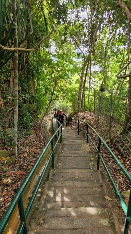 Khám Phá Penang: Hơn Cả George Town, Đừng Bỏ Qua