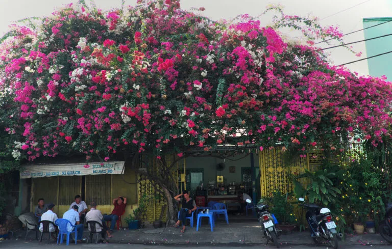 Khám Phá Sài Gòn: Những Điều Cần Biết Khi Đến Thành Phố Không Ngủ