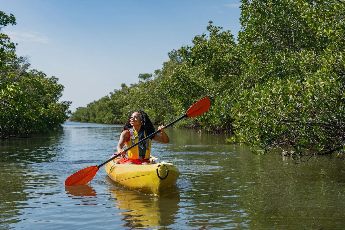 Khám Phá Southwest Florida: Lựa Chọn Thư Giãn, Khám Phá Hay Mạo Hiểm
