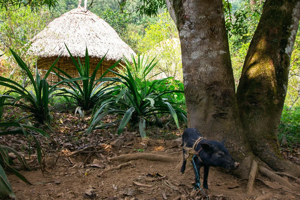 Khám Phá Thành Phố Mất Tích: Hành Trình Để Đời Ở Colombia