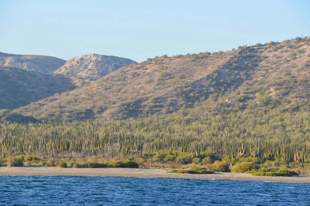 Khám Phá Thiên Nhiên Hoang Dã Baja California: Du Lịch Gắn Bó Với Đại Dương