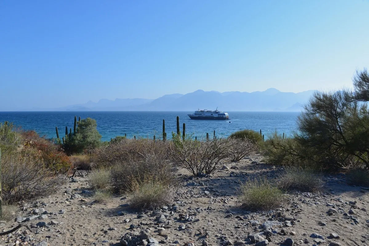 Khám Phá Thiên Nhiên Hoang Dã Baja California: Du Lịch Gắn Bó Với Đại Dương