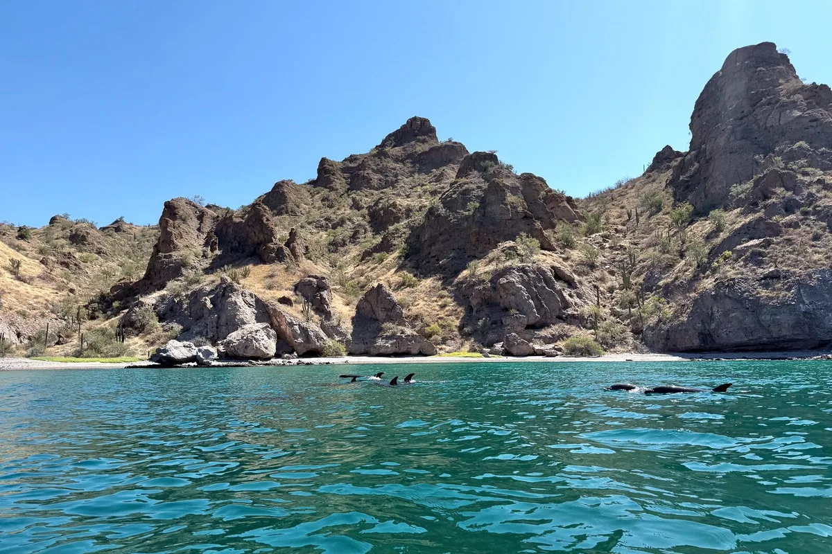 Khám Phá Vịnh Loreto: Trải Nghiệm Kayaking Biển Thú Vị