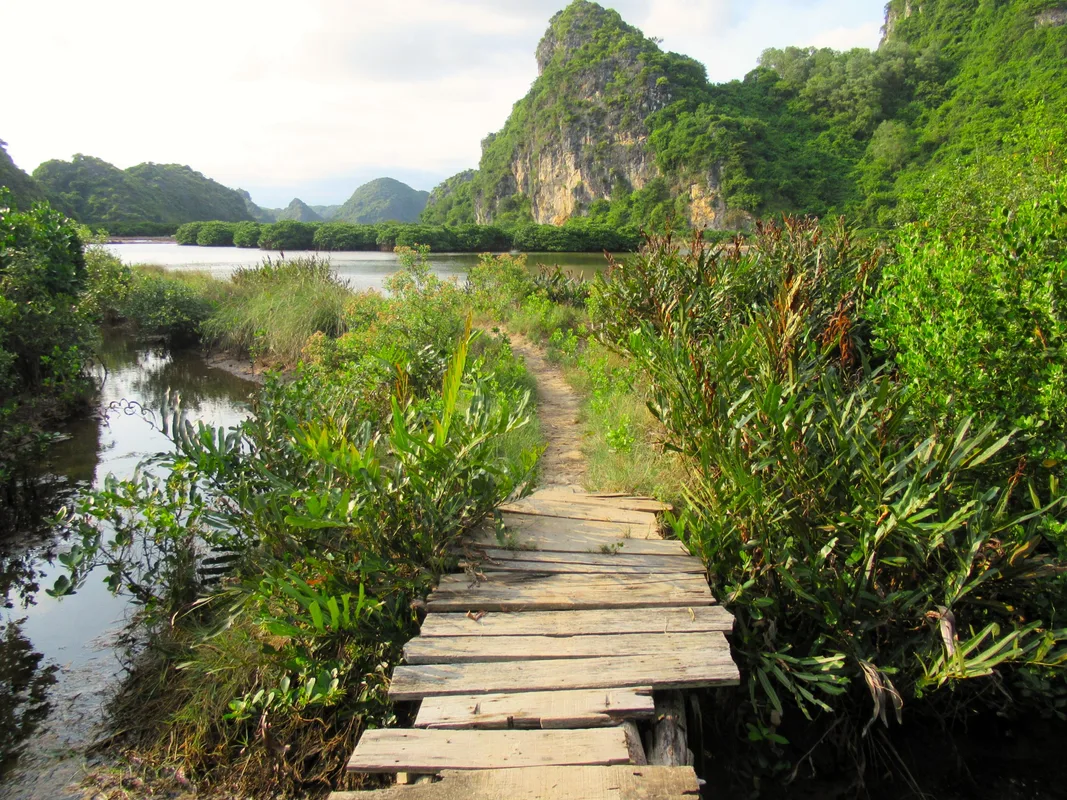 Khám Phá Vườn Quốc Gia Cát Bà: Lịch Trình Trekking 12km Trong Rừng Xanh