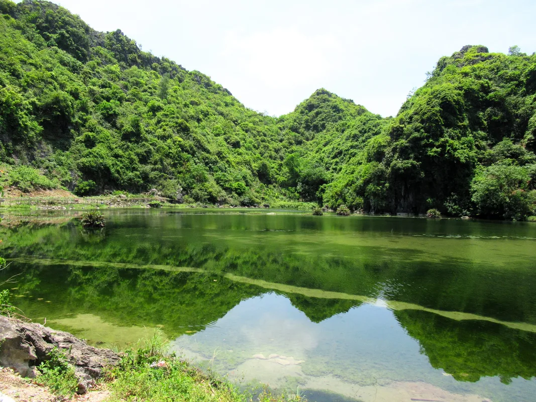 Khám Phá Vườn Quốc Gia Cát Bà: Lịch Trình Trekking 12km Trong Rừng Xanh