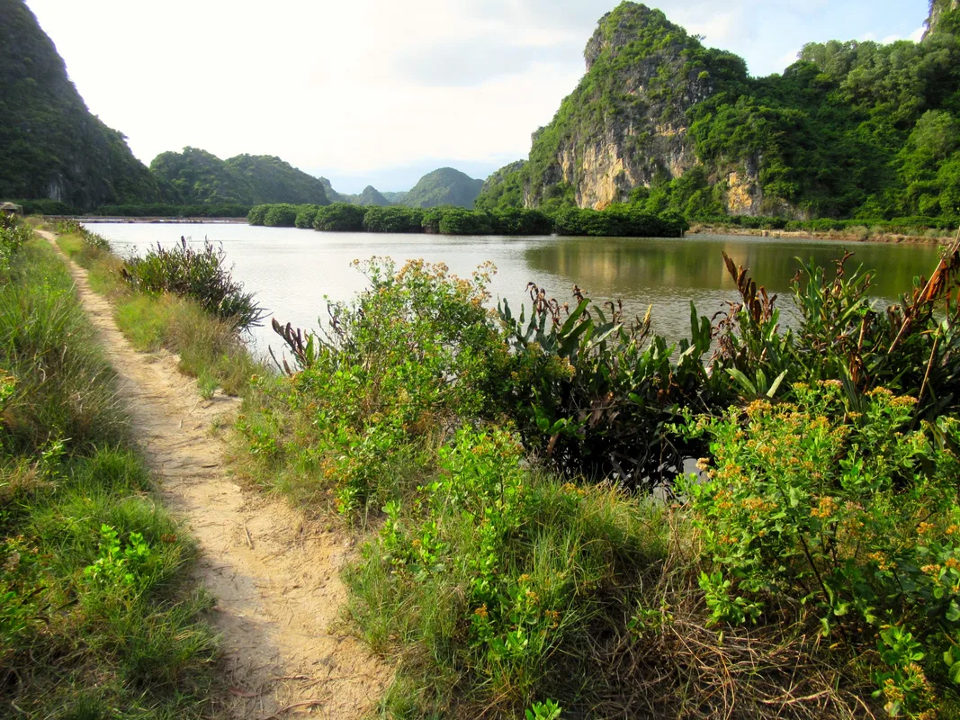 Khám Phá Vườn Quốc Gia Cát Bà: Lịch Trình Trekking 12km Trong Rừng Xanh