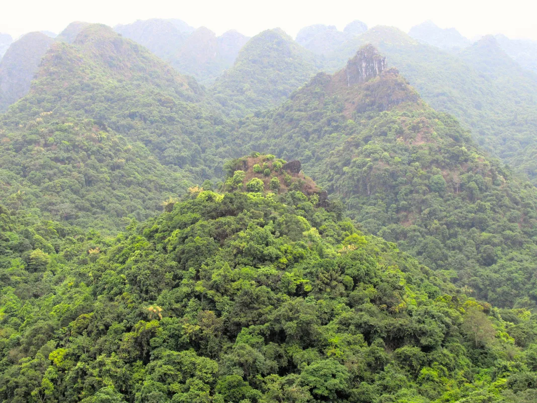 Khám Phá Vườn Quốc Gia Cát Bà: Lịch Trình Trekking 12km Trong Rừng Xanh