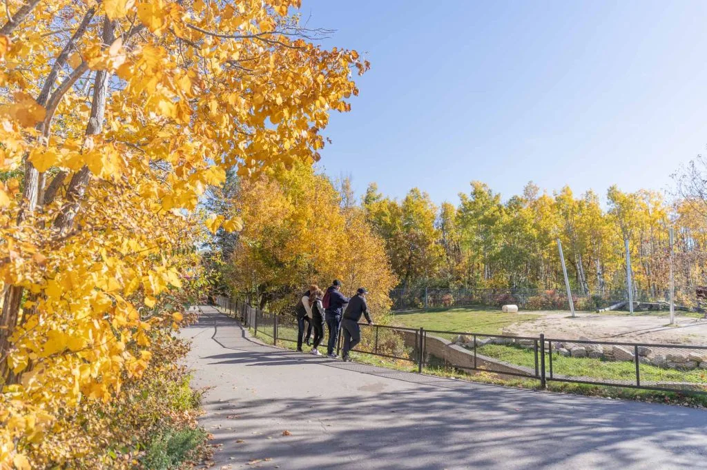 Khám Phá Winnipeg - Thành Phố Đầy Bất Ngờ Của Canada