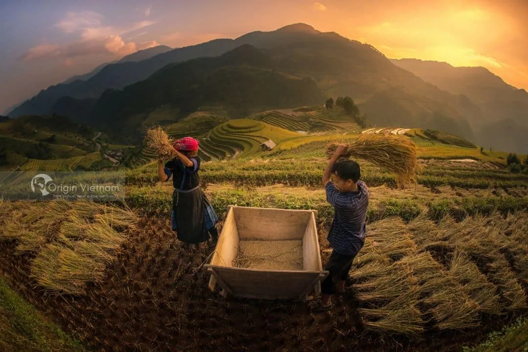 Kinh Nghiệm Du Lịch Mù Cang Chải: Số Ngày Lý Tưởng Cho Chuyến Thăm