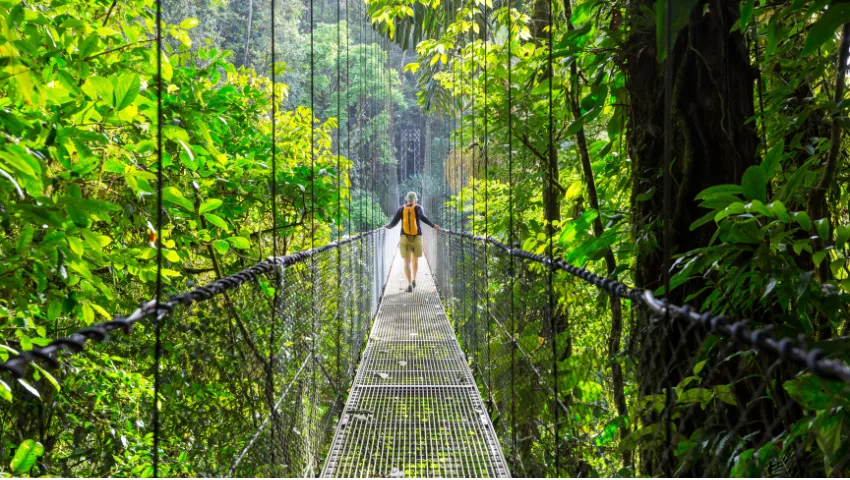 Lạc Bước Giữa Rừng Borneo & Khám Phá Singapore Mới Mẻ