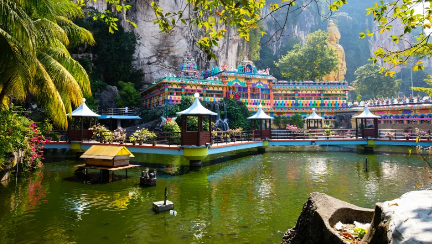 Lạc Bước Giữa Rừng Borneo & Khám Phá Singapore Mới Mẻ