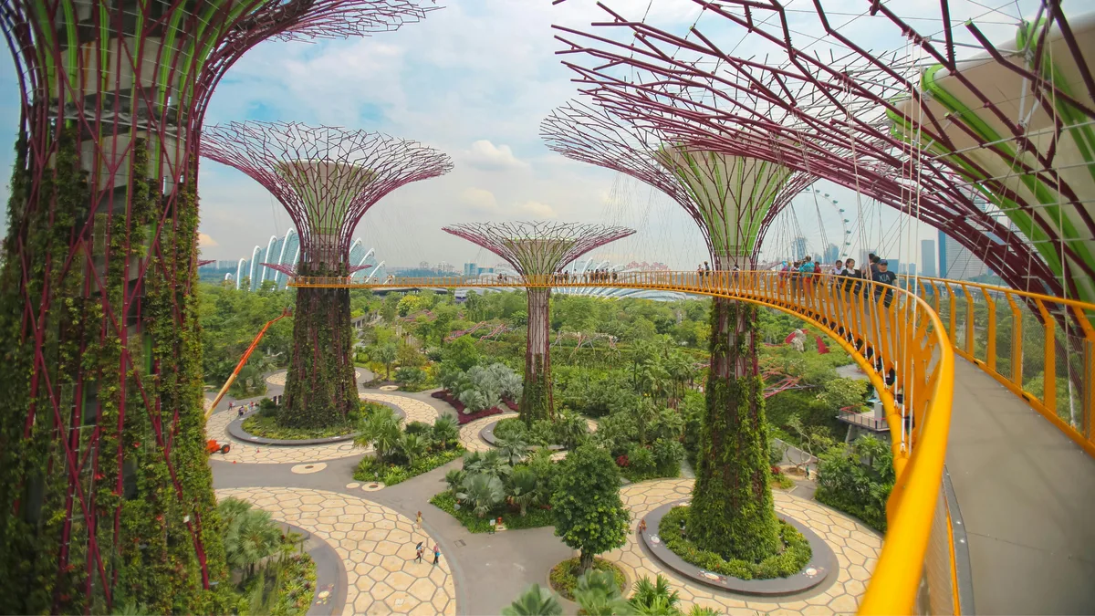 Lạc Bước Giữa Rừng Borneo & Khám Phá Singapore Mới Mẻ