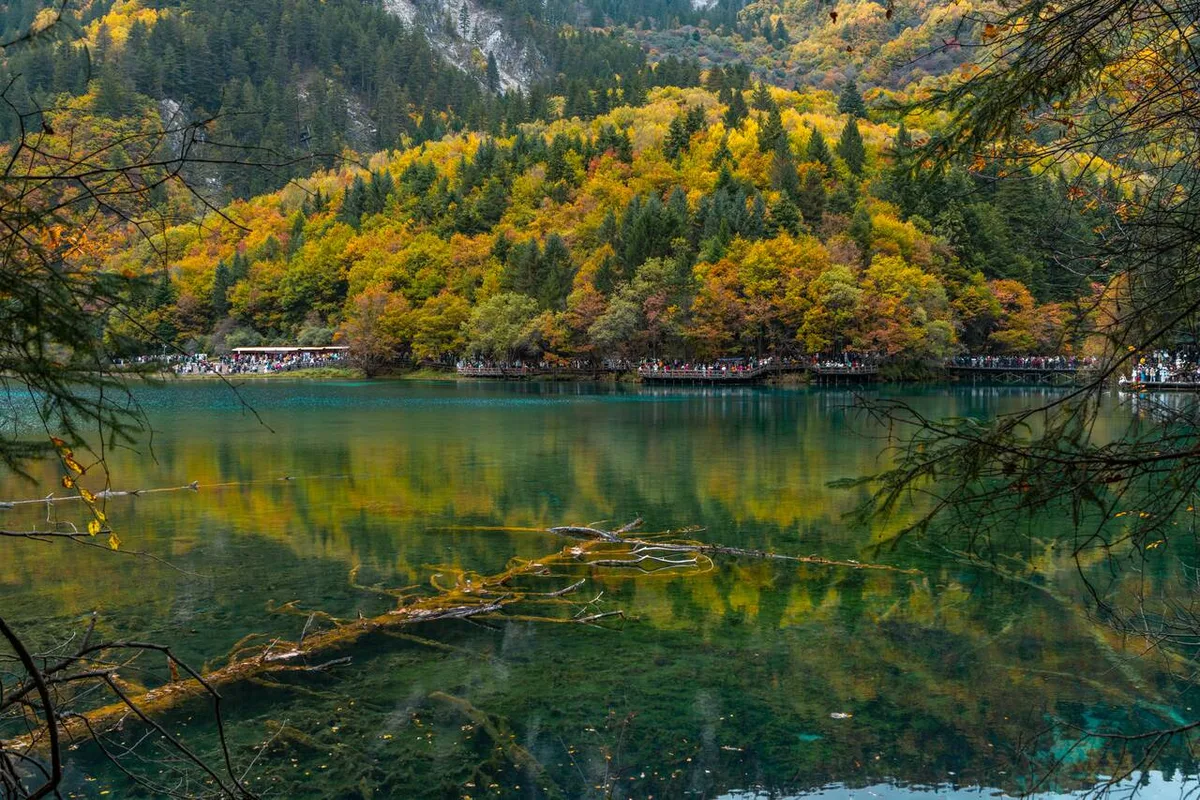 Lạc Bước Vào Thung Lũng Cổ Tích Jiuzhaigou ở Trung Quốc