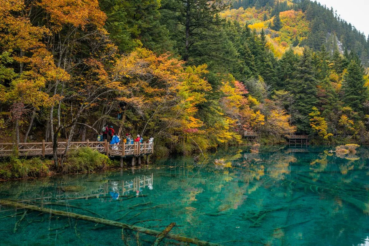 Lạc Bước Vào Thung Lũng Cổ Tích Jiuzhaigou ở Trung Quốc