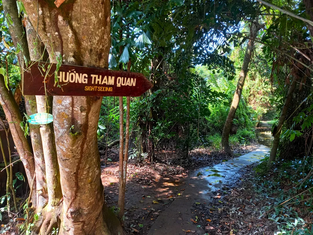 Lạc Lối Trong Rừng Xẻo Quýt: Ký Ức Chiến Tranh Giữa Miền Tây