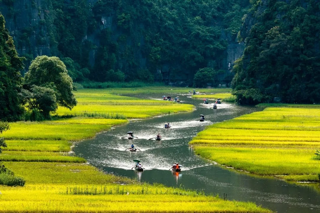 Lịch Trình 2 Tuần Khám Phá Việt Nam: Du Lịch Chậm Hay Lộ Trình Cổ Điển?