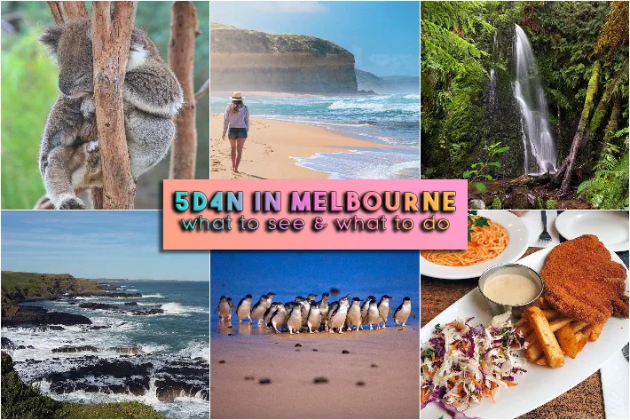 Lịch Trình 5 Ngày 4 Đêm Khám Phá Melbourne: Từ Thiên Nhiên Đến Ẩm Thực