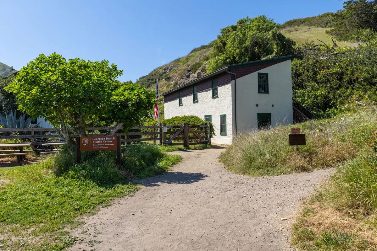 Một Ngày Khám Phá Công Viên Quốc Gia Channel Islands: Đảo Santa Cruz