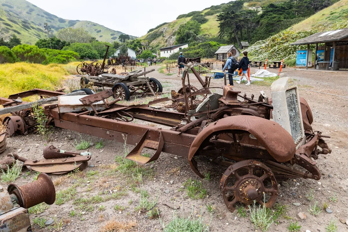 Một Ngày Khám Phá Công Viên Quốc Gia Channel Islands: Đảo Santa Cruz