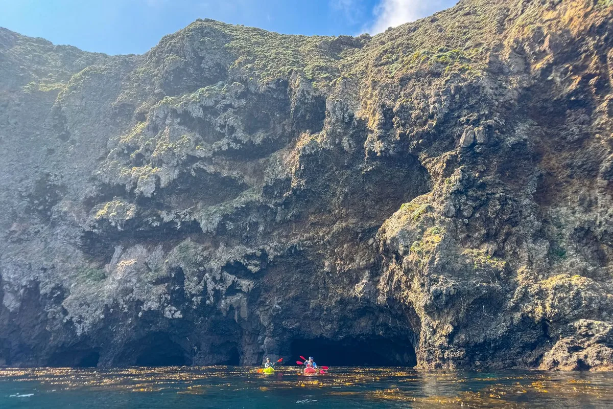 Một Ngày Khám Phá Công Viên Quốc Gia Channel Islands: Đảo Santa Cruz