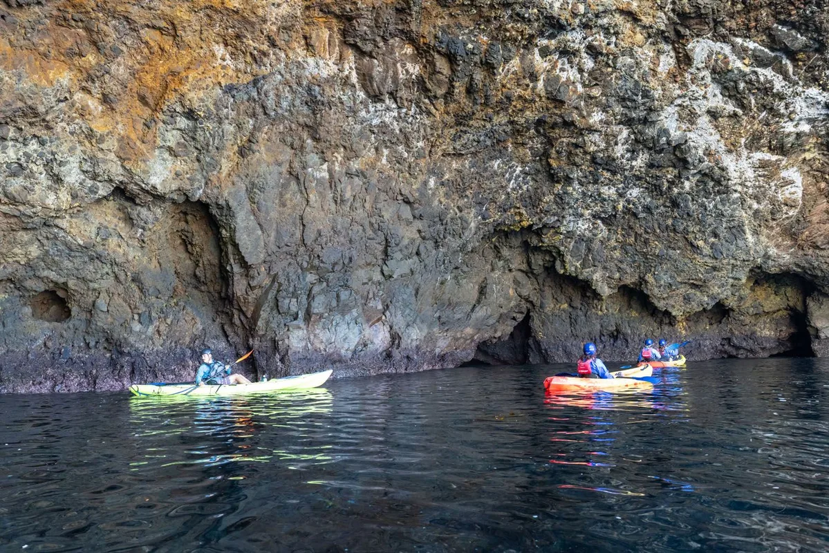 Một Ngày Khám Phá Công Viên Quốc Gia Channel Islands: Đảo Santa Cruz