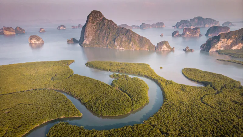 Một Ngày Thái Lan: Từ Chợ Truyền Thống Đến Hành Trình Trên Sông
