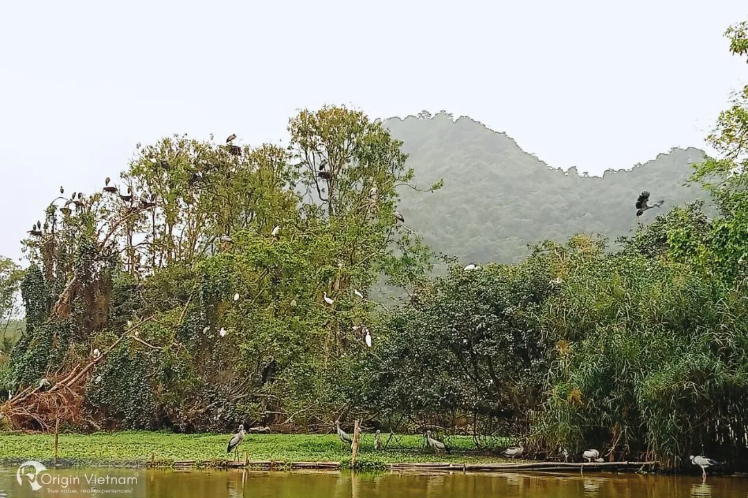 Ninh Bình: Thời Gian Lý Tưởng Để Khám Phá Vùng Đất Cổ Kính