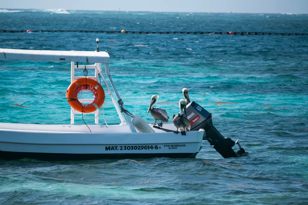 Puerto Morelos: Thiên Đường Bình Yên Giữa Riviera Maya