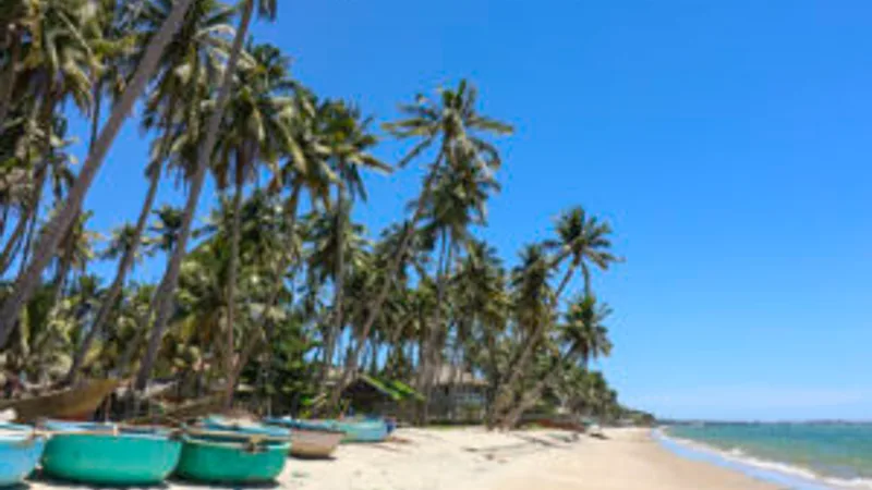 Rẽ Sóng Tìm Về Phan Thiết: Ký Ức Hồn Nhiên Bên Biển