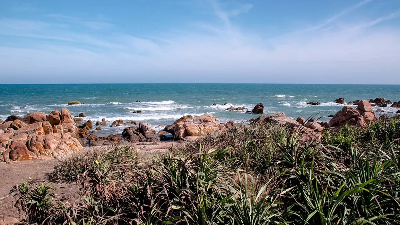 Rẽ Sóng Tìm Về Phan Thiết: Ký Ức Hồn Nhiên Bên Biển