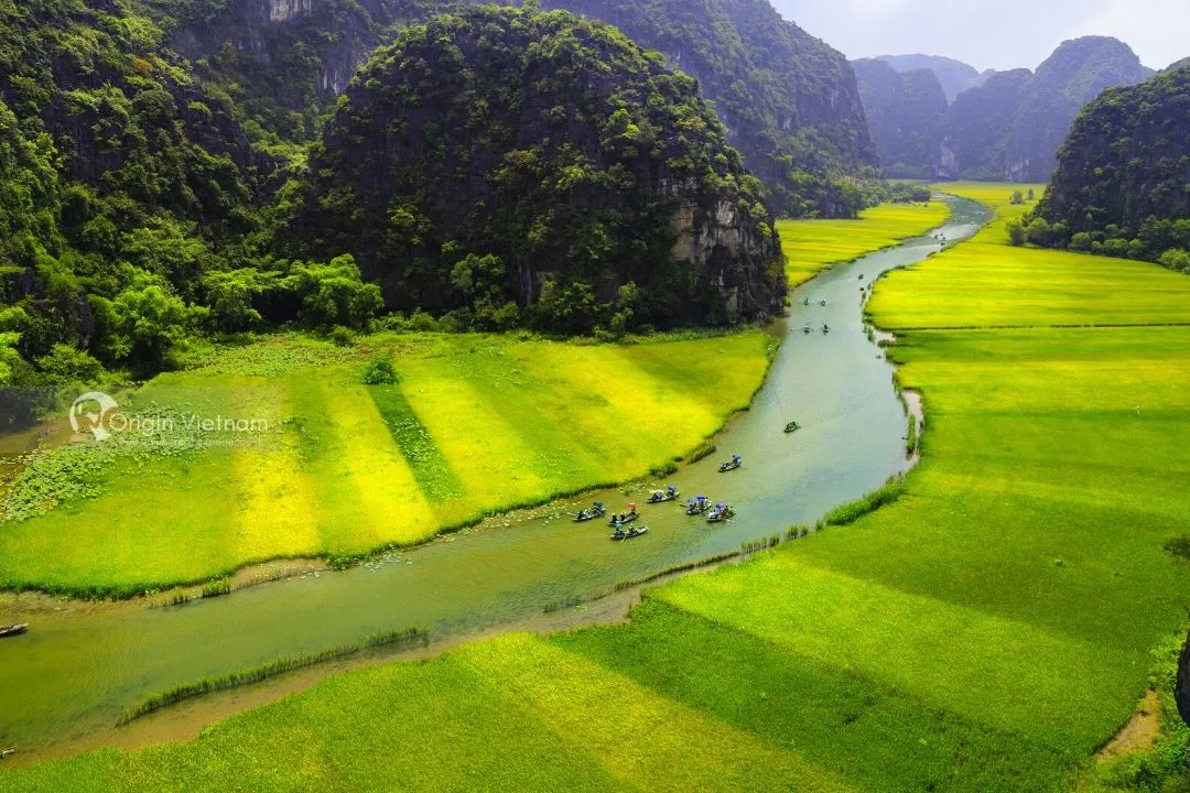 So Sánh Ninh Bình và Vịnh Hạ Long: Điểm Đến Nào Thích Hợp Hơn Cho Bạn?