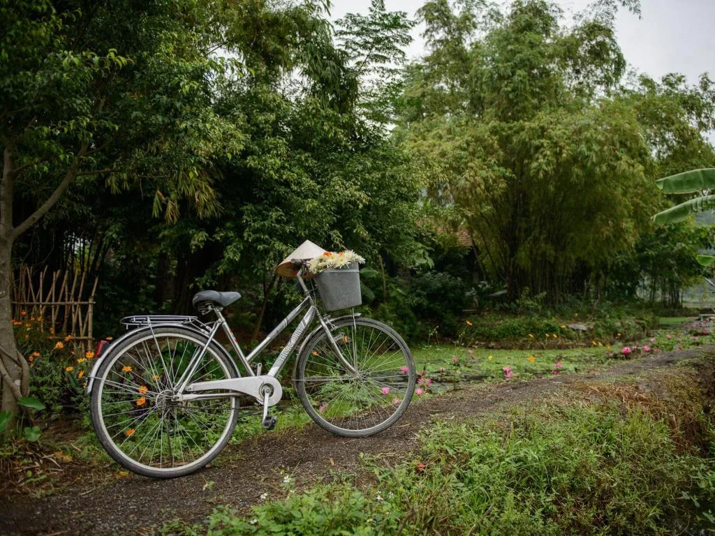 So Sánh Ninh Bình và Vịnh Hạ Long: Điểm Đến Nào Thích Hợp Hơn Cho Bạn?