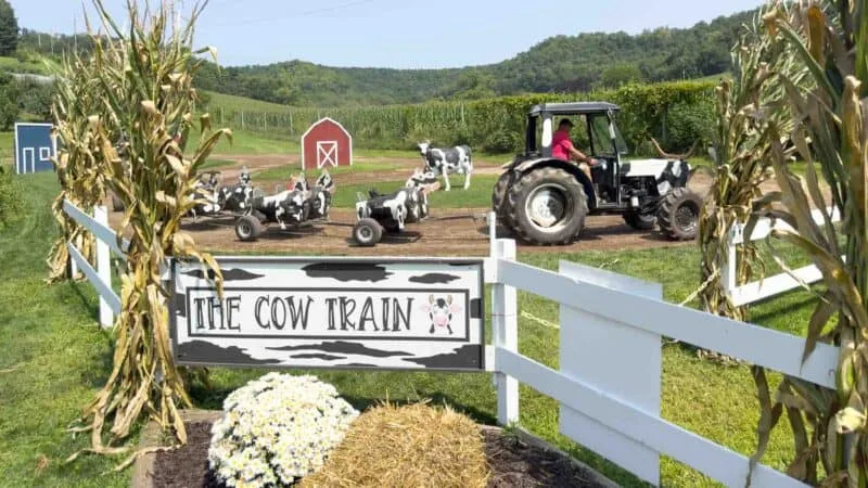 Thăm Vườn Táo Ferguson ở Galesville, Wisconsin: Một Ngày Vui Chơi Cùng Gia Đình