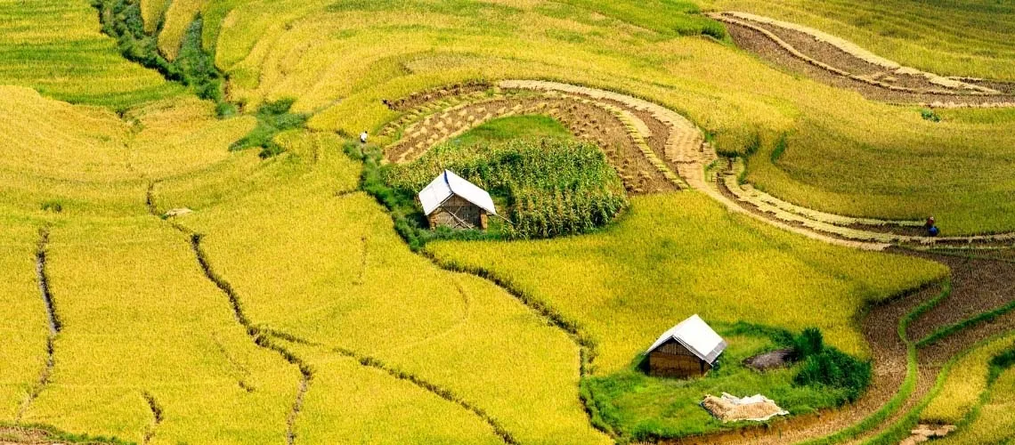 Thời Điểm Tốt Nhất Để Thăm Mu Cang Chai: Hướng Dẫn Theo Mùa