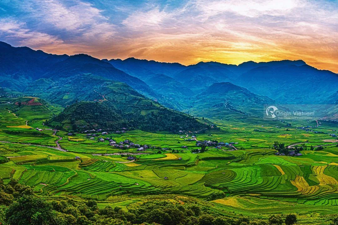 Thời Điểm Tốt Nhất Để Thăm Mu Cang Chai: Hướng Dẫn Theo Mùa