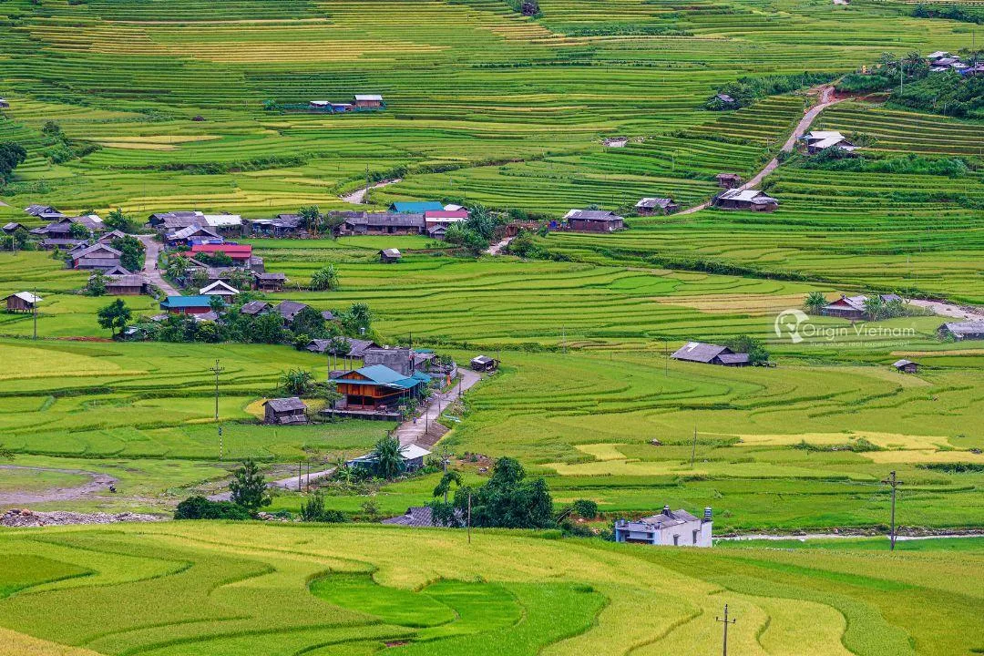 Thời Điểm Tốt Nhất Để Thăm Mu Cang Chai: Hướng Dẫn Theo Mùa