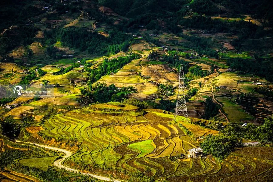 Thời Điểm Tốt Nhất Để Tham Quan Sapa: Hướng Dẫn Chi Tiết