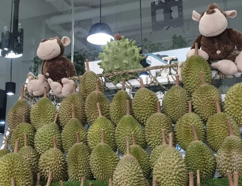 Top 13 Cửa Hàng Sầu Riêng Uy Tín Tại Singapore: Điểm Đến Cho Tín Đồ Sầu Riêng