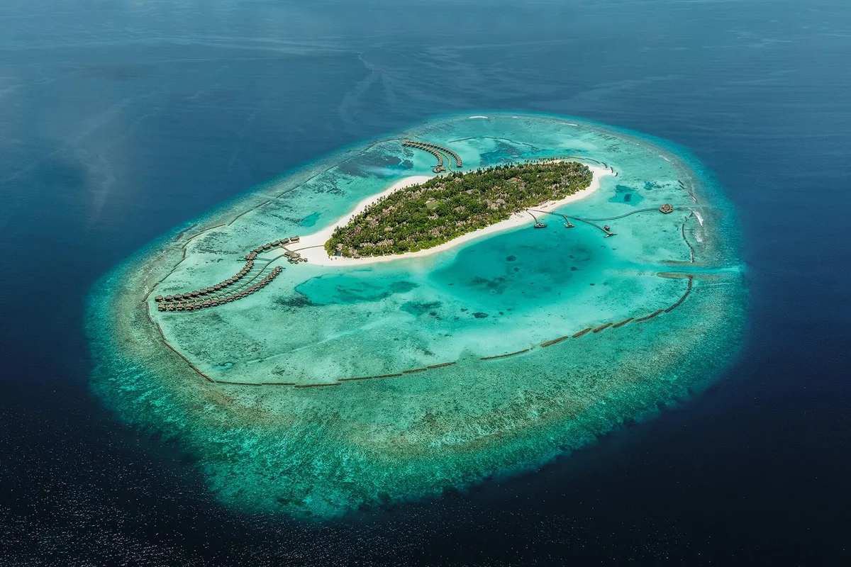 Trải Nghiệm Độc Đáo Ở Maldives: Từ Bơi Cùng Cá Mập Đến Buổi Điểm Tâm Nổi