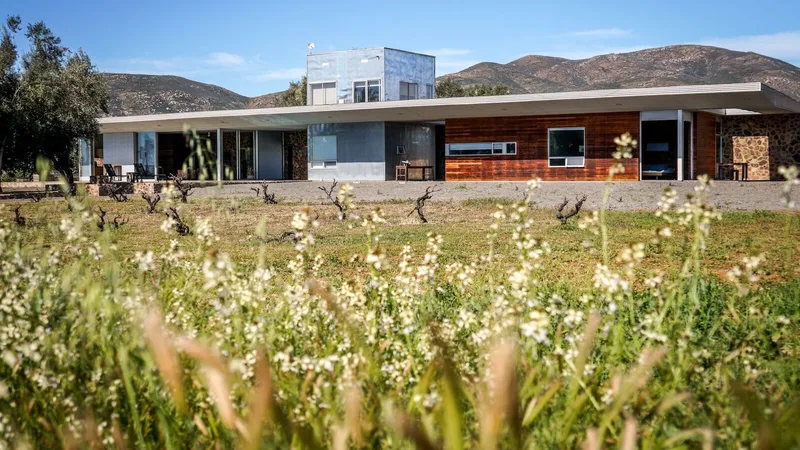Trải Nghiệm Villa Giữa Vườn Nho Tuyệt Vời Ở Valle de Guadalupe
