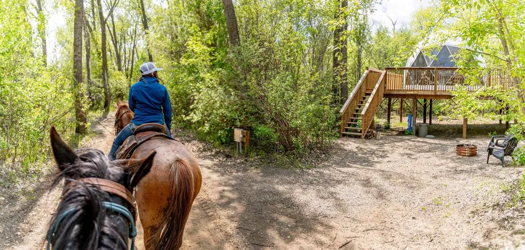 Trốn Chạy Đến Saskatchewan: Glamping Giữa Thiên Nhiên Hoang Dã