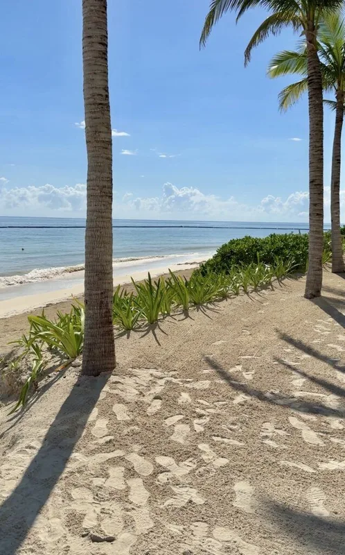 Trốn Nắng Tại Waldorf Astoria Riviera Maya, Kỳ Nghỉ Sang Trọng Gần Cancun