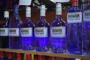 Uống Tiquira: Rượu Xứ Maranhão Đậm Chất Bản Địa