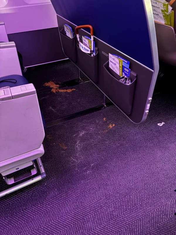 Vụ Việc Bất Ngờ Với Chó Hỗ Trợ Trên Chuyến Bay United Airlines